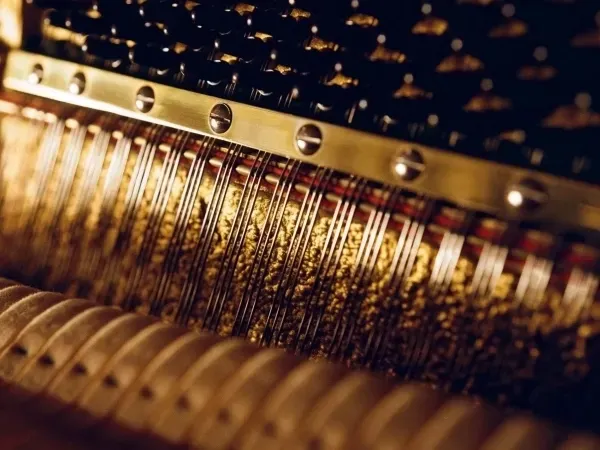 Comment entretenir son piano au quotidien  les conseils de votre accordeur
