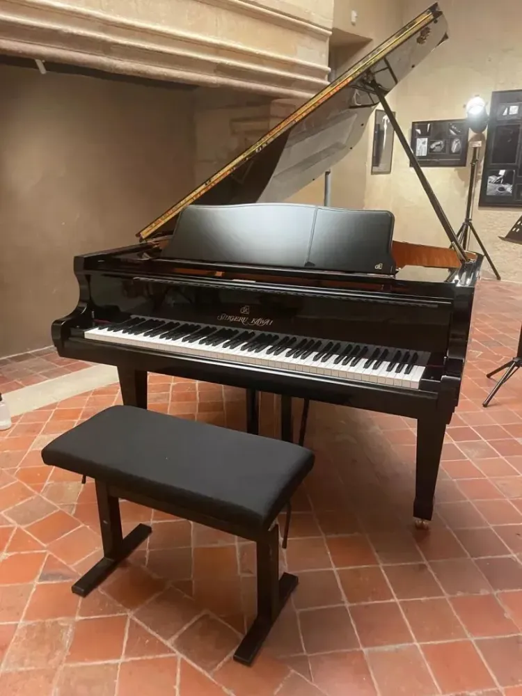 piano a queue (2)