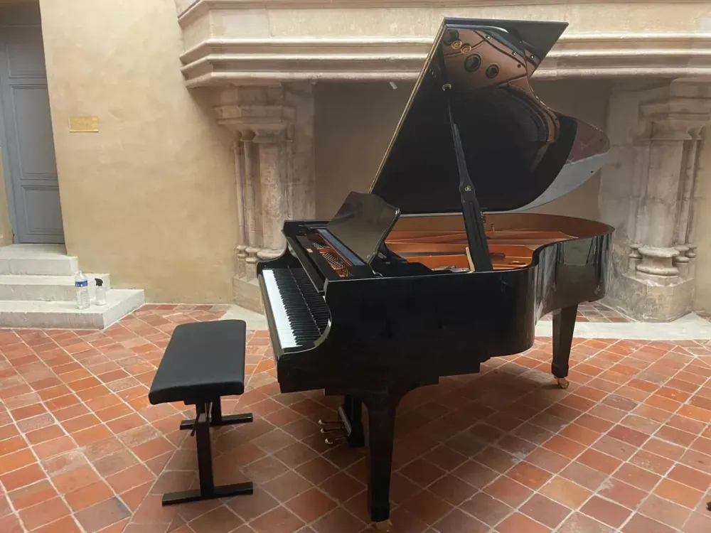 piano a queue (4)
