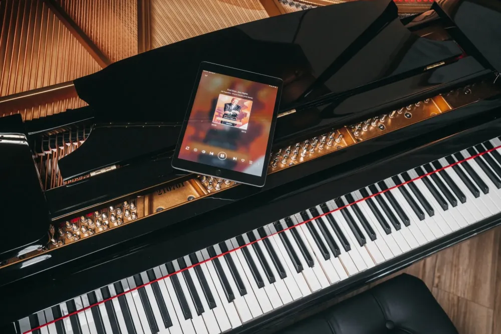 pianodisc (8)