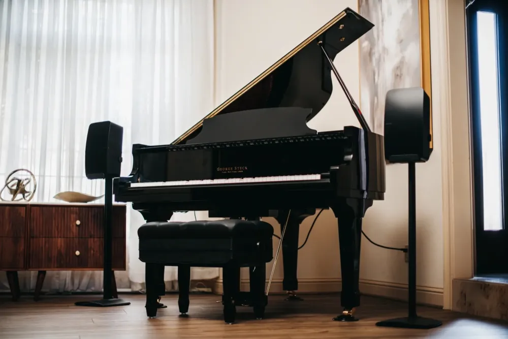 pianodisc (9)