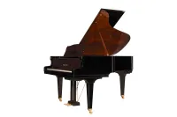 B-192_Nusskopf