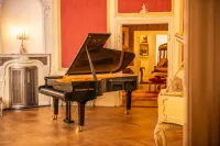 Steingraeber_D_232_web