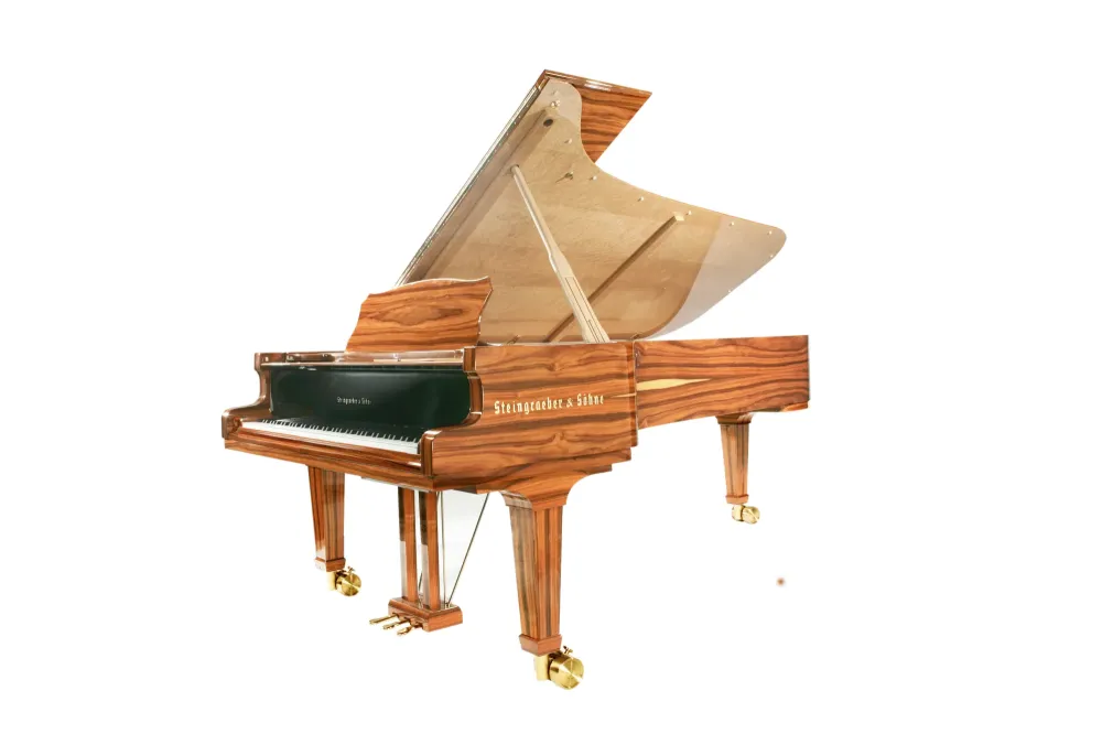 E-272 Santos Palisander-Rosewood